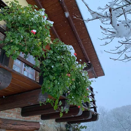 Mountain Ca' Dal Ghiru By Bernardino Galliari *